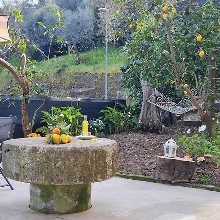 Rita Home B&B سورينتو المظهر الخارجي الصورة